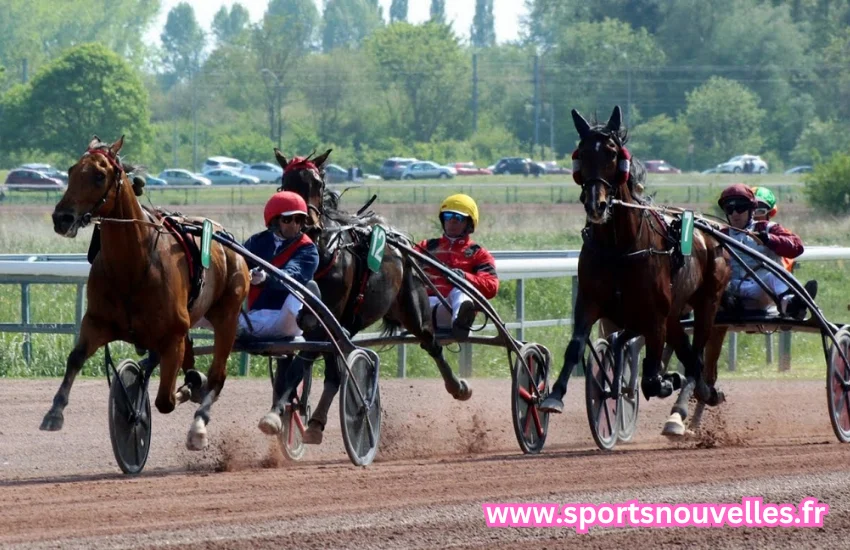 quinté du jour chevaux les plus joués