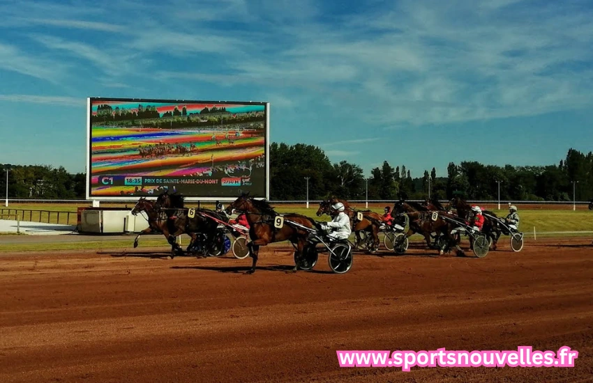 quinté du jour chevaux les plus joués