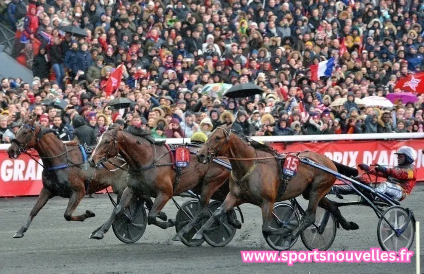 quinté du jour chevaux les plus joués