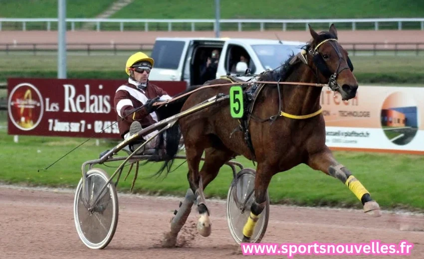 quinté du jour chevaux les plus joués