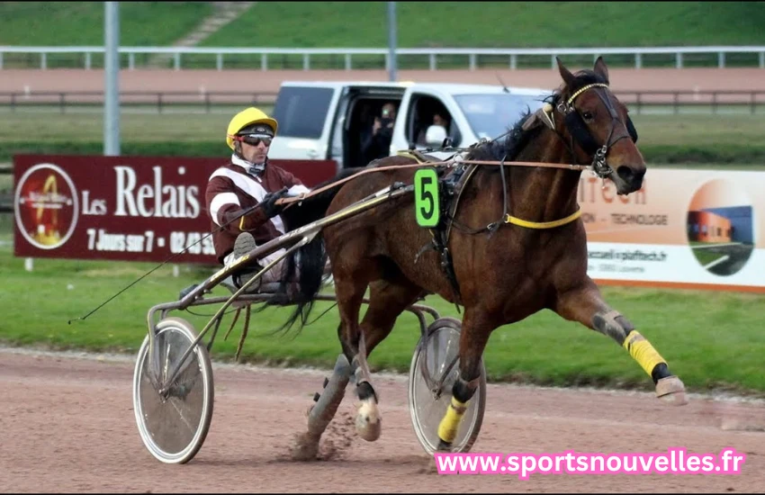 quinté du jour chevaux les plus joués