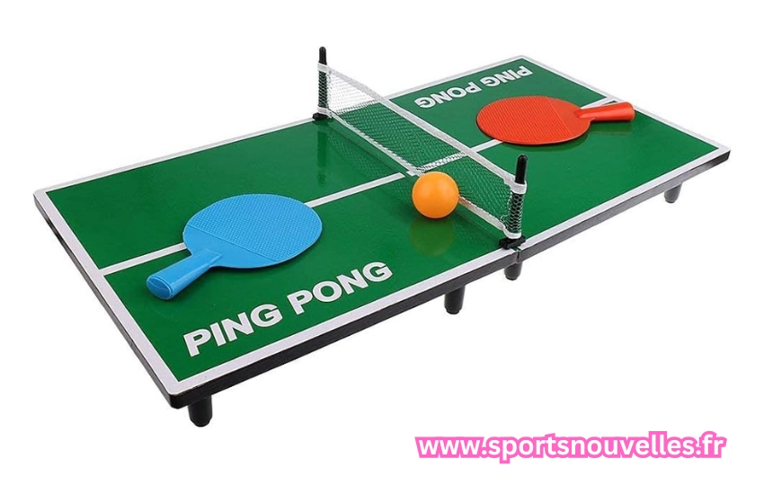 raquette ping pong pro​