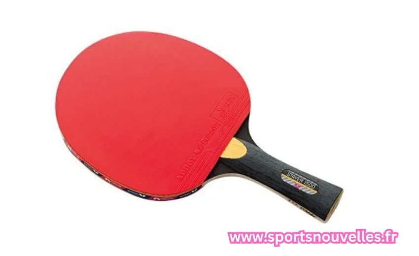 raquette ping pong pro​