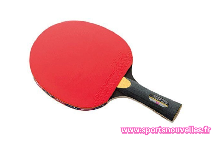 raquette ping pong pro​